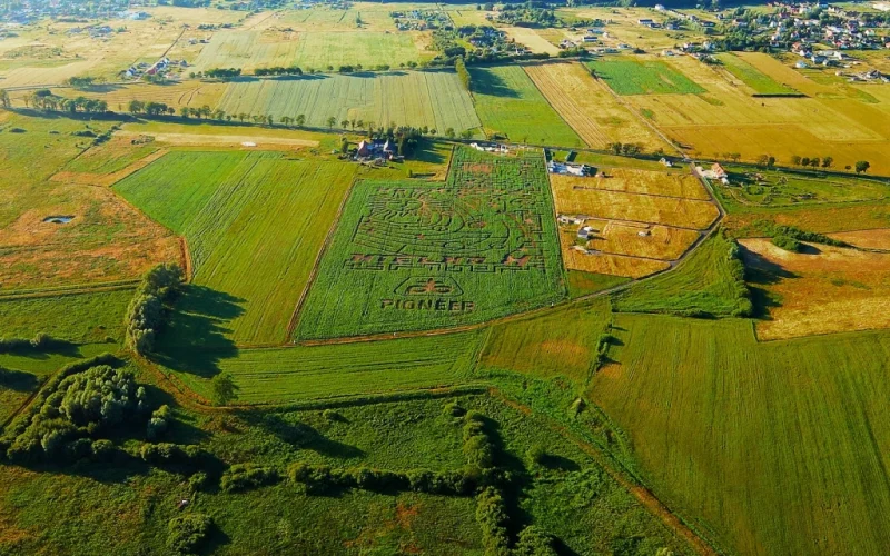 Kosmiczny Labirynt Mielno